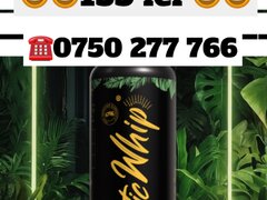 Butelie azot N2O Exotic Whip Baloane - livrare rapida Bucuresti / Ilfov